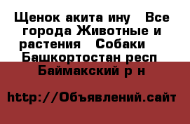 Щенок акита ину - Все города Животные и растения » Собаки   . Башкортостан респ.,Баймакский р-н